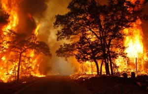 BNPB Yakin Mencapai Target 30 Hari Pemadaman Kebakaran Hutan