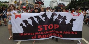 Demo Stop Makan Daging Anjing di Jakarta beberapa waktu lalu (Foto : Merdeka)