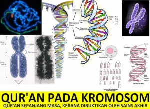 Ayat Al Quran Pada Kromosom DNA Manusia