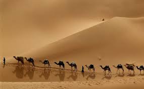 Ilustrasi onta di padang pasir