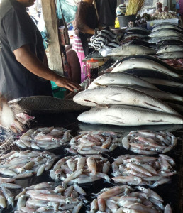 Pedagang Ikan di Pasar Tradisional Oesapa,  Kupang (Foto : Darso Arief) 