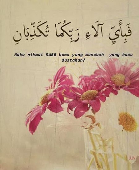 Nikmat Allah Mana Lagi Yang Kamu Dustakan Thayyibah